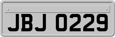 JBJ0229