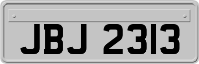 JBJ2313
