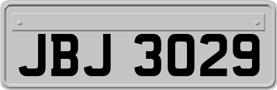 JBJ3029