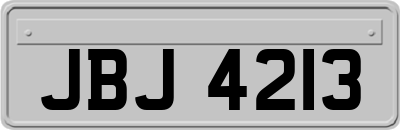 JBJ4213