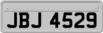 JBJ4529