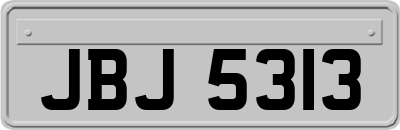 JBJ5313
