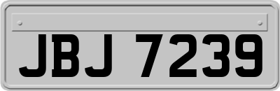 JBJ7239