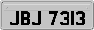 JBJ7313