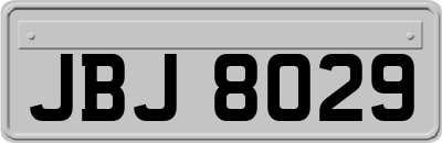 JBJ8029