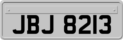 JBJ8213