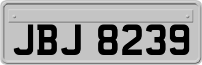 JBJ8239