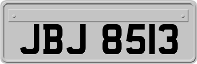 JBJ8513