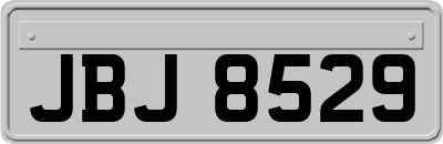 JBJ8529