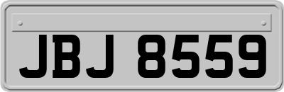 JBJ8559