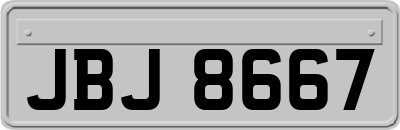 JBJ8667