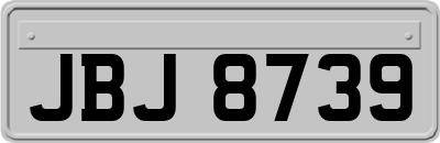 JBJ8739
