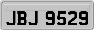 JBJ9529