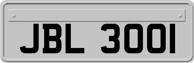 JBL3001