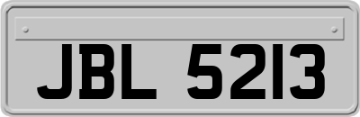 JBL5213