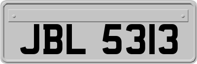 JBL5313