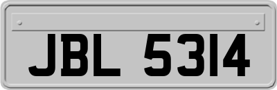 JBL5314