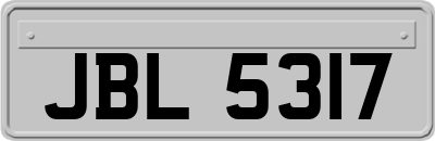 JBL5317