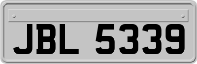 JBL5339