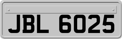 JBL6025