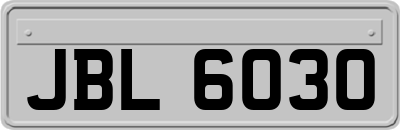 JBL6030