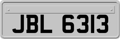 JBL6313