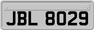 JBL8029