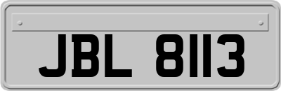 JBL8113