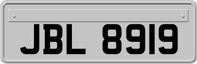 JBL8919