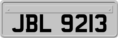 JBL9213