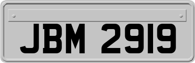 JBM2919