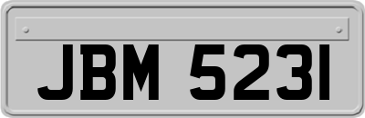 JBM5231