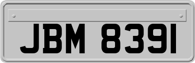 JBM8391