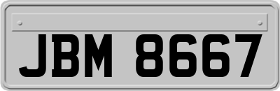 JBM8667