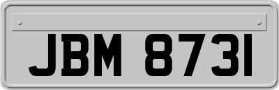 JBM8731