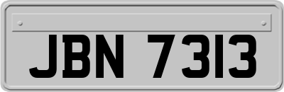 JBN7313