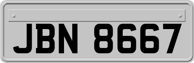 JBN8667