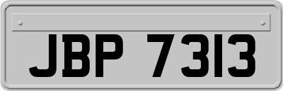 JBP7313