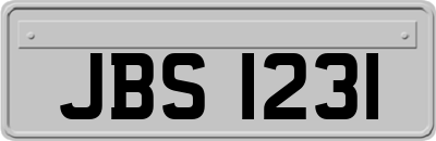 JBS1231