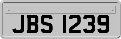 JBS1239