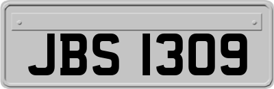 JBS1309