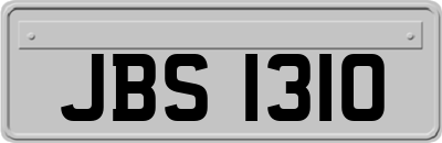 JBS1310
