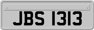 JBS1313