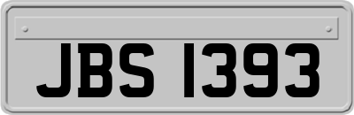 JBS1393