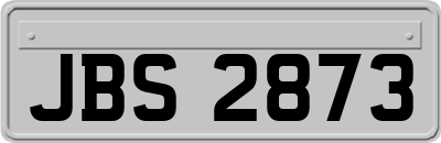 JBS2873