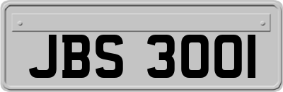 JBS3001