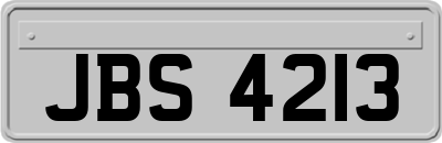 JBS4213