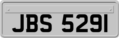 JBS5291