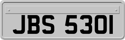 JBS5301