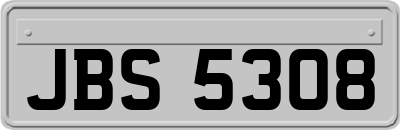 JBS5308